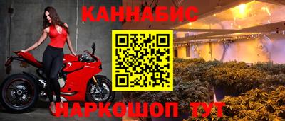ешки Шебекино