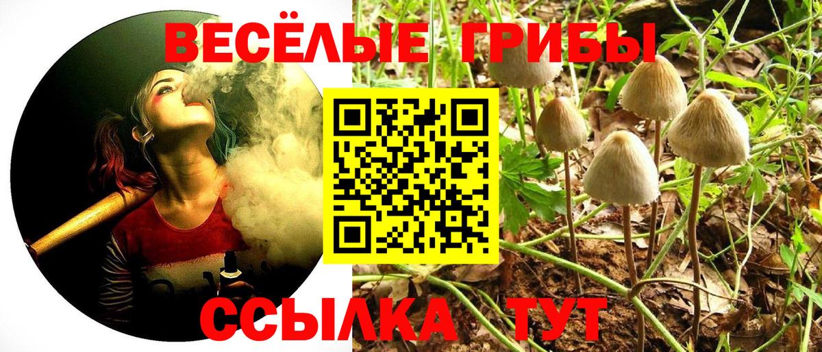 Галлюциногенные грибы мицелий Астрахань
