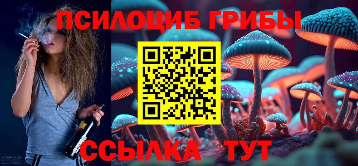 Псилоцибиновые грибы Psilocybine cubensis  Вход с VPN  Астрахань 